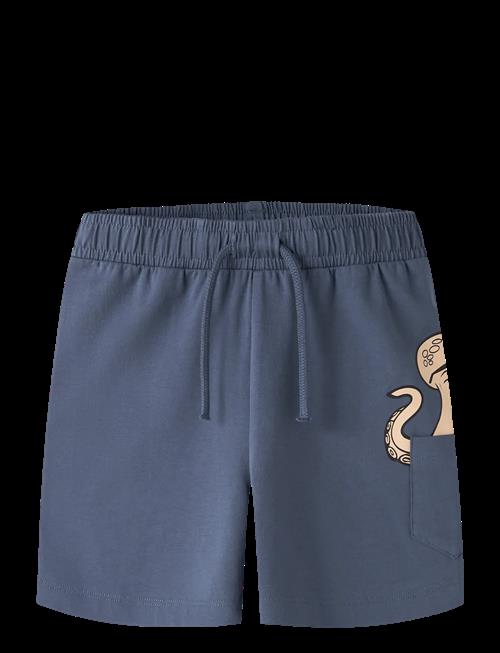 name it | Nmmfikz Nreg Shorts | 98