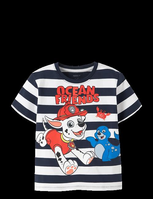 name it | Nmmmilan Paw Ss Nreg Top Box Cplg | 110