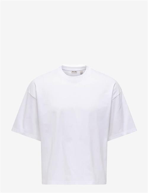 ONLY & SONS | Onsfred Rlx Ss Crop Tee | L