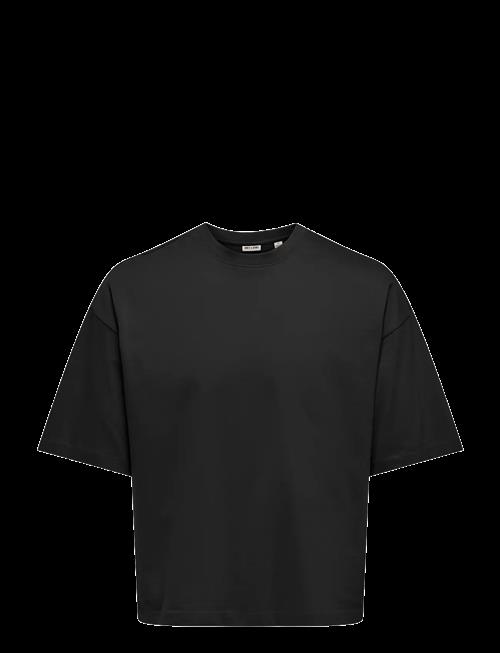 ONLY & SONS | Onsfred Rlx Ss Crop Tee | L