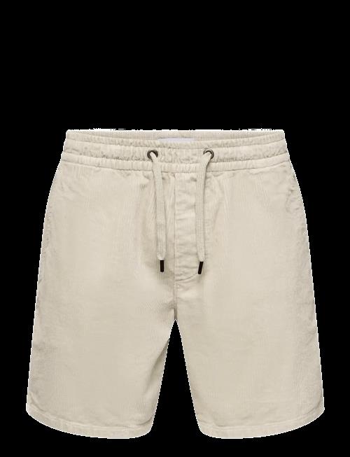 ONLY & SONS | Onstel Corduroy 0185 Shorts Noos | XXL