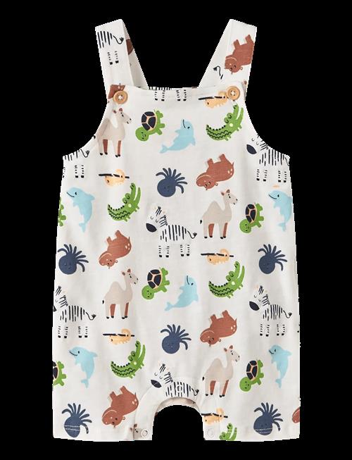 name it | Nbmfari Shorts Overall | 56