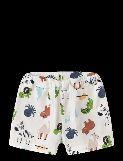 name it | Nbmfari Shorts | 56