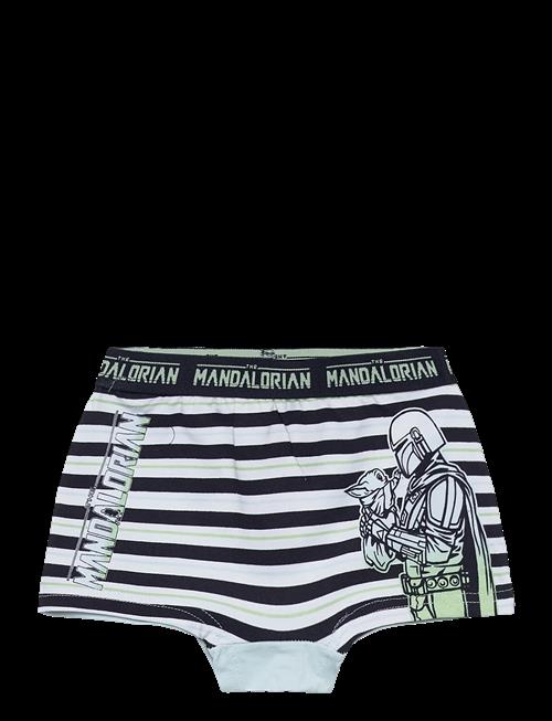 Disney | Boxer | 110/116