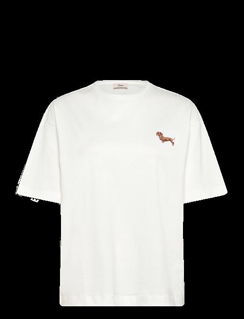 Etam | Hug - Short Sleeve Tee Shirt | XL