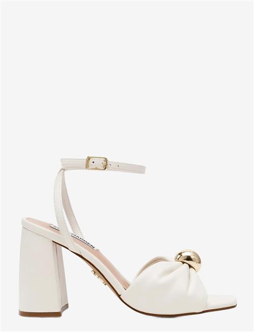 Steve Madden | Meladi | 41