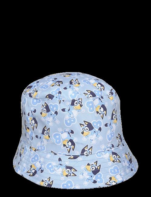 Bluey | Bob | 52