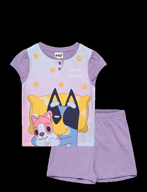 Bluey | Pyjama | 104