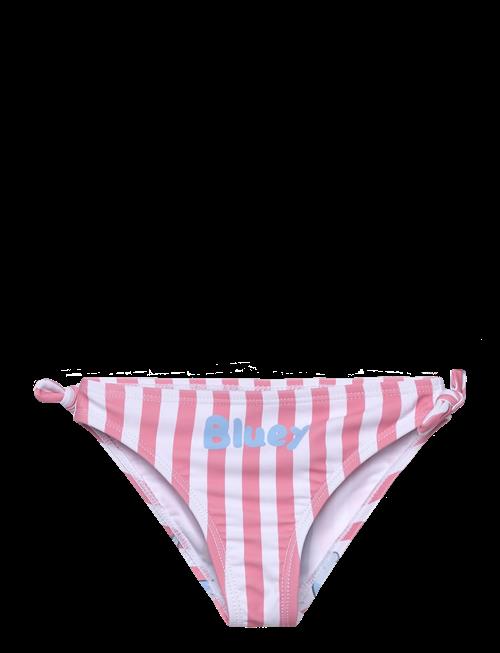 Bluey | Swimwear | 104