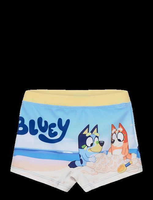 Bluey | Swimwear | 116