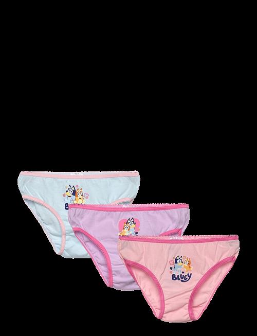 Bluey | Briefs | 110/116