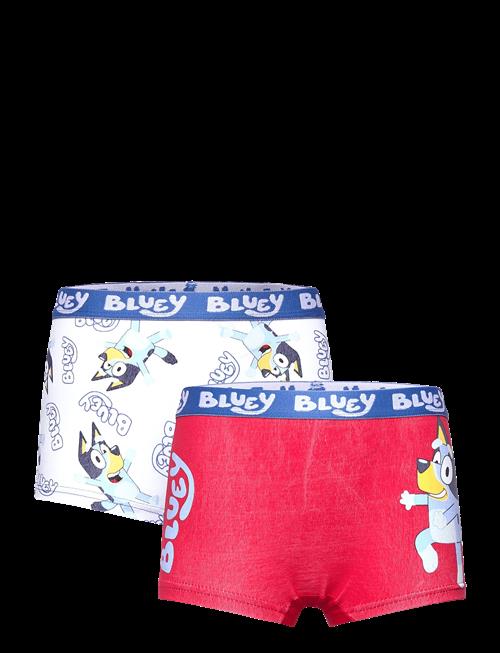 Bluey | Boxer | 110/116