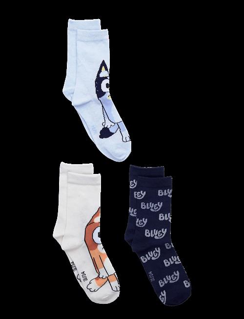 Bluey | Socks | 31/34