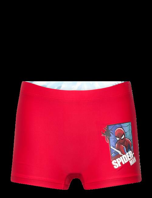 Marvel | Swimwear | 104