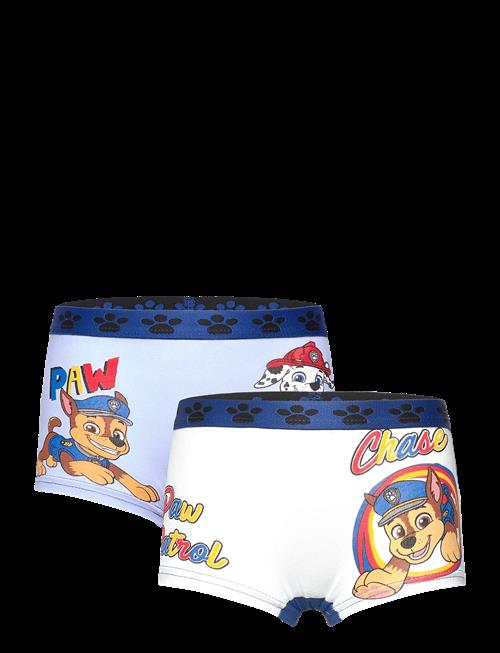 Paw Patrol | Boxer | 98/104