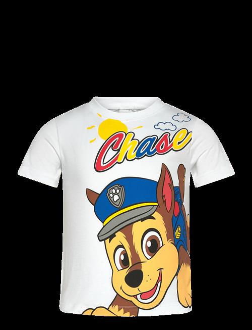 Paw Patrol | Tshirt | 110