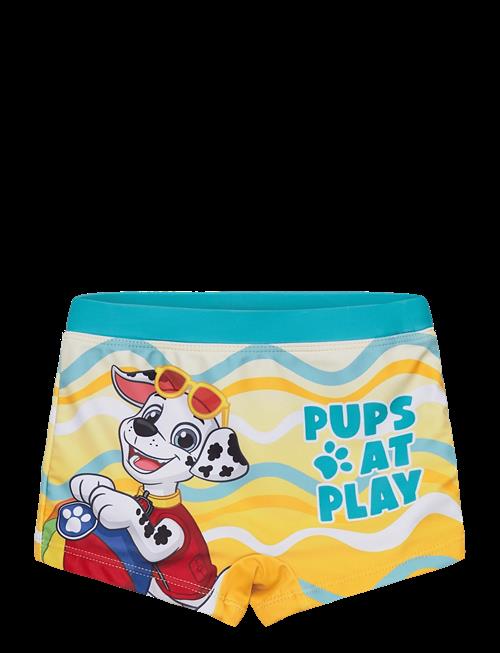Paw Patrol | Swimwear | 110