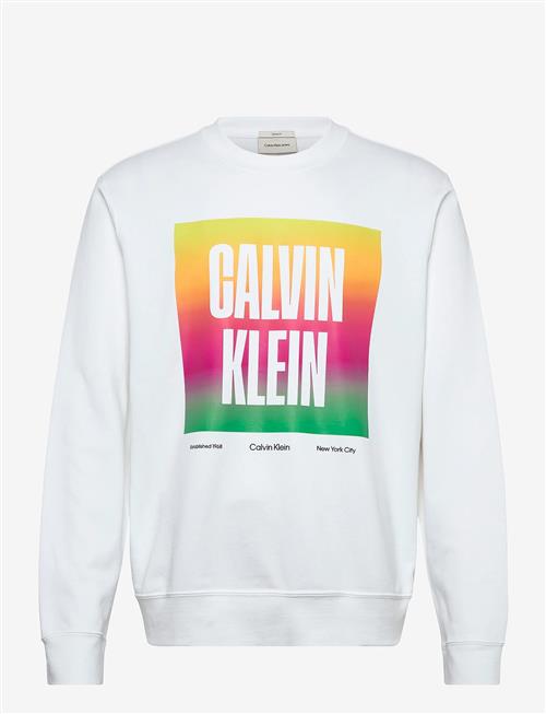 Calvin Klein Jeans | Ls 350Tery Calvn Prde Cn Swtshrt | S