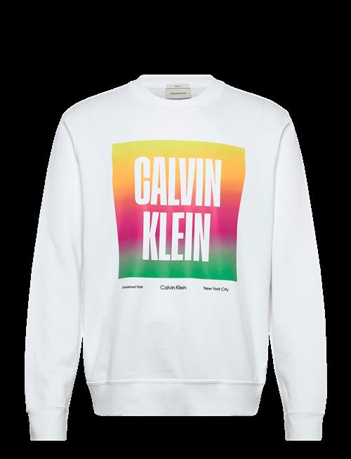 Calvin Klein Jeans | Ls 350Tery Calvn Prde Cn Swtshrt | XXL