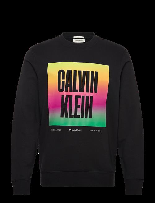 Calvin Klein Jeans | Ls 350Tery Calvn Prde Cn Swtshrt | L