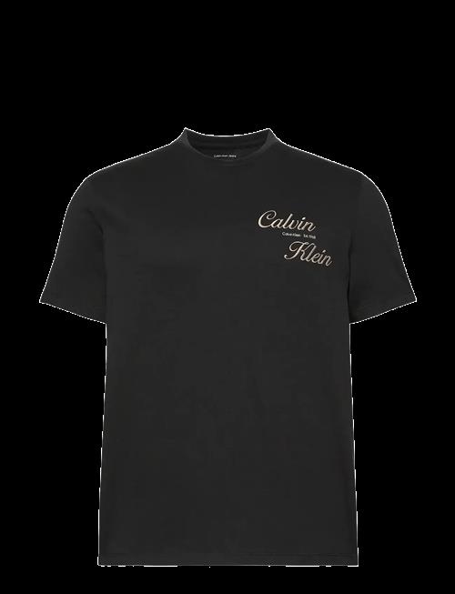 Calvin Klein Jeans | Ss 30S Eu Calvin Klein Resrt Gra | L