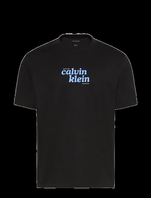 Calvin Klein Jeans | Ss 20S Calvinklein Trvl Font Gra | XL