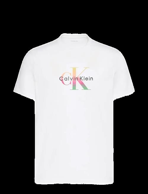 Calvin Klein Jeans | Ss 20S Ck Pride26 Graphic Clsc T | L