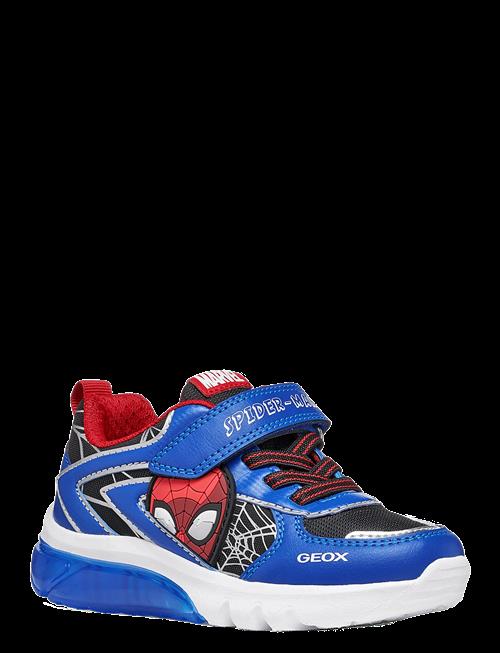 GEOX | J Ciberdron Boy K | 29