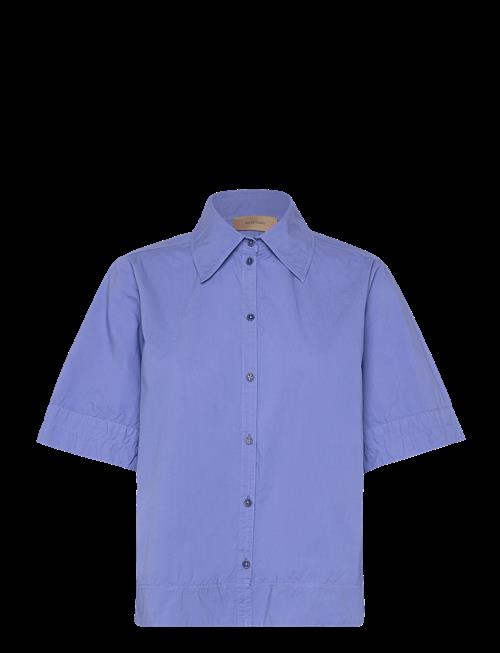 Rue de Tokyo | Seren Gmtd Poplin | M