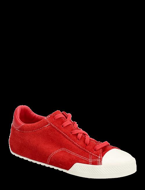 Converse | Chuck Taylor Lo | 38.5