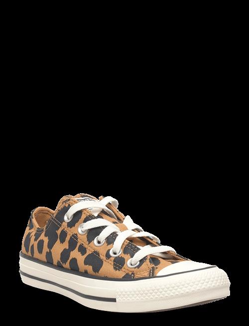 Converse | Chuck Taylor All Star | 36