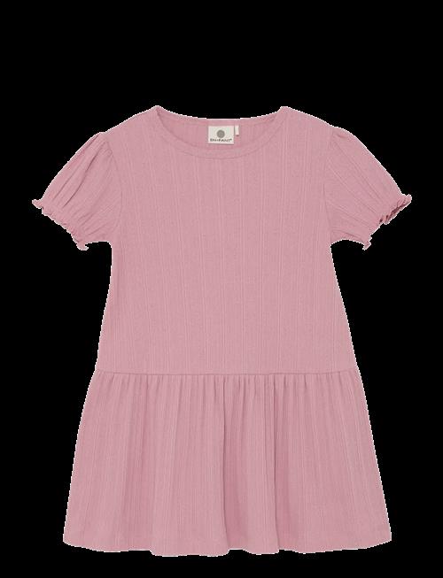 En Fant | Dress Ss Pointelle | 116