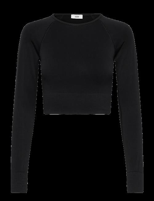 Closed | Women Cropped Raglan Longsleeve T-Shirts Black | L/XL