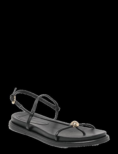 Dolce Vita | Deane | 39