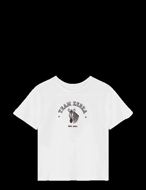 Fliink | Sommer Zebra T-Shirt | 116