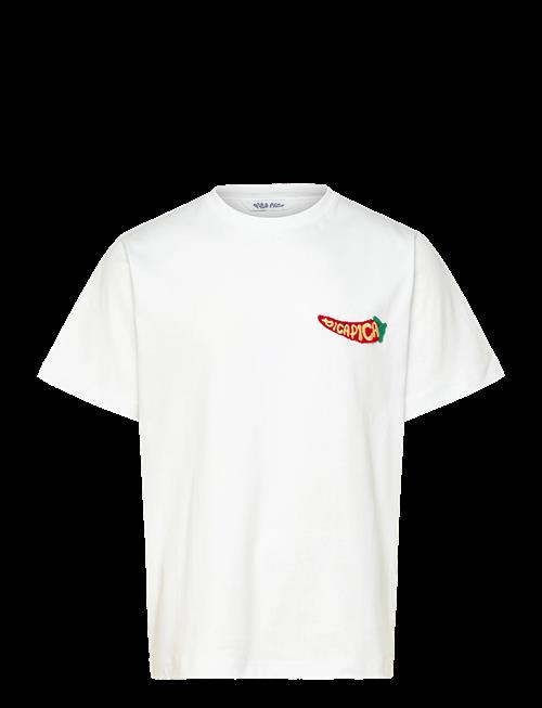 Pica Pica | Langostas Hot Sauce | S