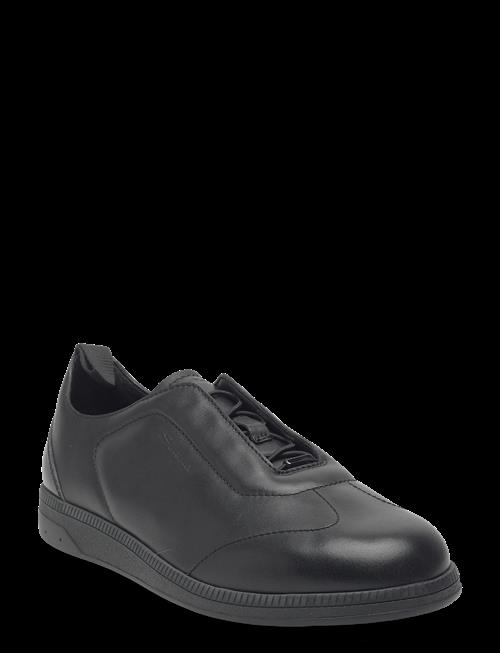Santoni | Lume-D | 43.5