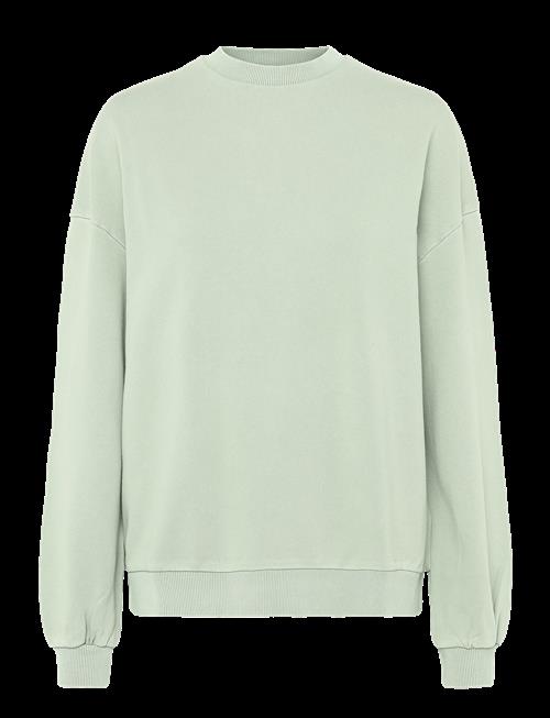 Lexington Clothing | Patricia Washed Sweatshirt | M
