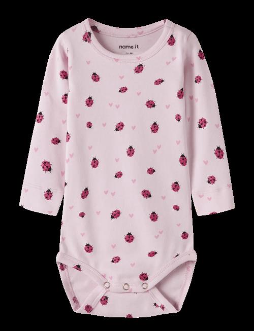 name it | Nbfhaline Ls Xsl Body | 68