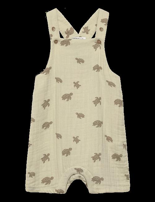 name it | Nbmjeremy Short Overall | 62