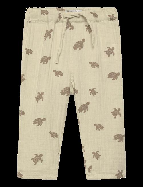 name it | Nbmjeremy Pant | 50