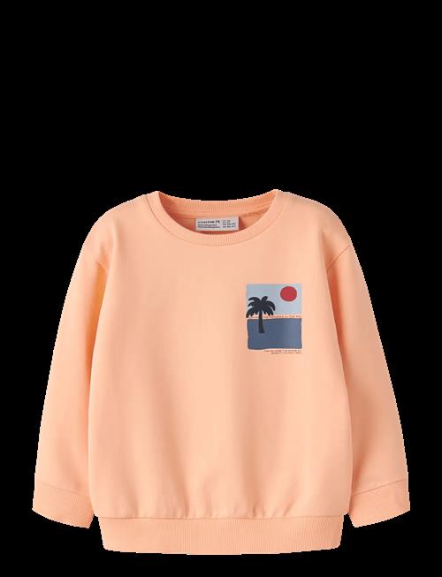 name it | Nmmjale Nreg Sweat Unb | 110