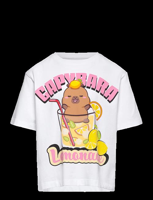 name it | Nkfabina Capybara Ss Nreg Top Lnoos Sky | 122-128