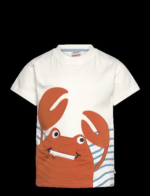Hust & Claire | Hcanton Crab | 104