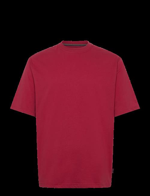 SIGNAL | Eddysi + | XL