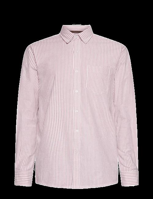 SIGNAL | Scottsi Oxford + | M