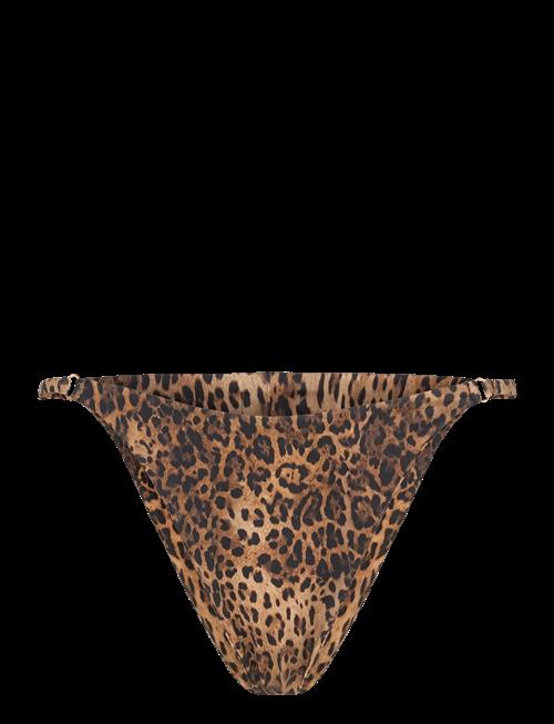 AYA Label | The Gaia Bottom | L