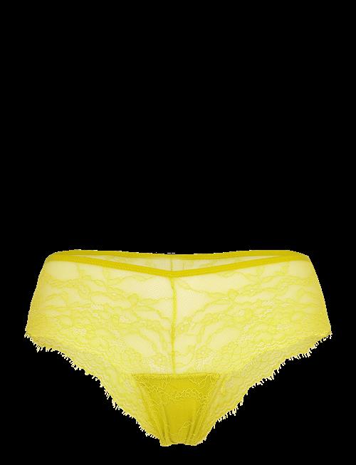 Understatement Underwear | Lace Hipster | S