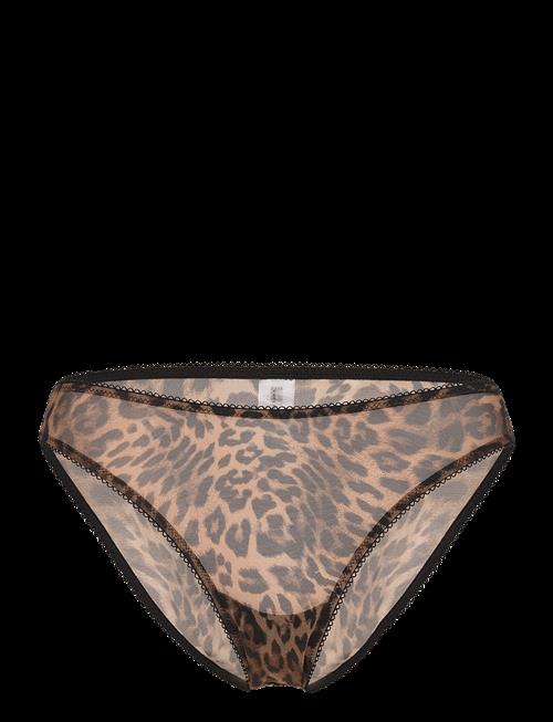 Understatement Underwear | Mesh Bikini Briefs | XXL