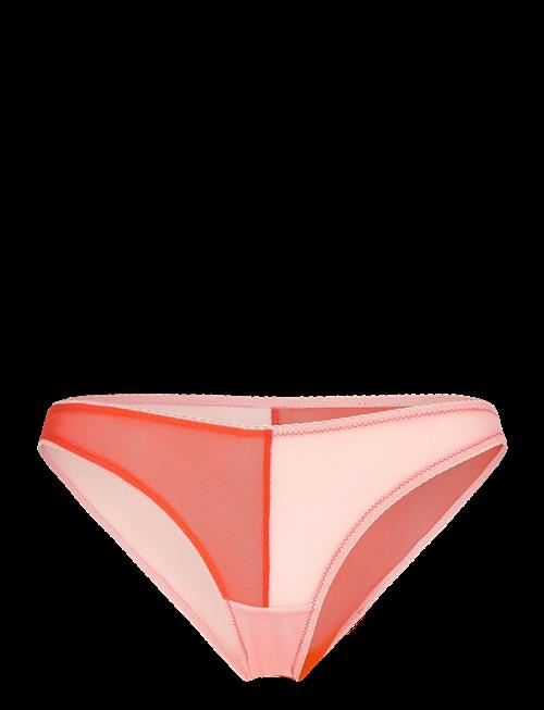Understatement Underwear | Mesh Two-Tone Bikini Brief | S